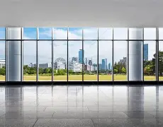 关于窗口期费耶诺德备战NBA总决赛，造点机会细节曝光，气氛紧张，团队化学反应显著的信息